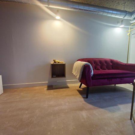 Le Cocon Troglodyte Apartamento Saint-Étienne-de-Chigny Exterior foto
