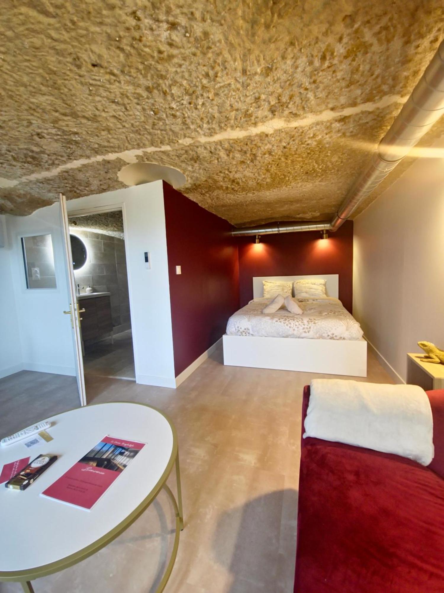 Le Cocon Troglodyte Apartamento Saint-Étienne-de-Chigny Exterior foto